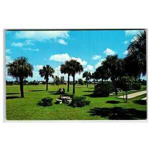 David Park Margate Florida Vintage Chrome Postcard Palm Trees Picnic Area